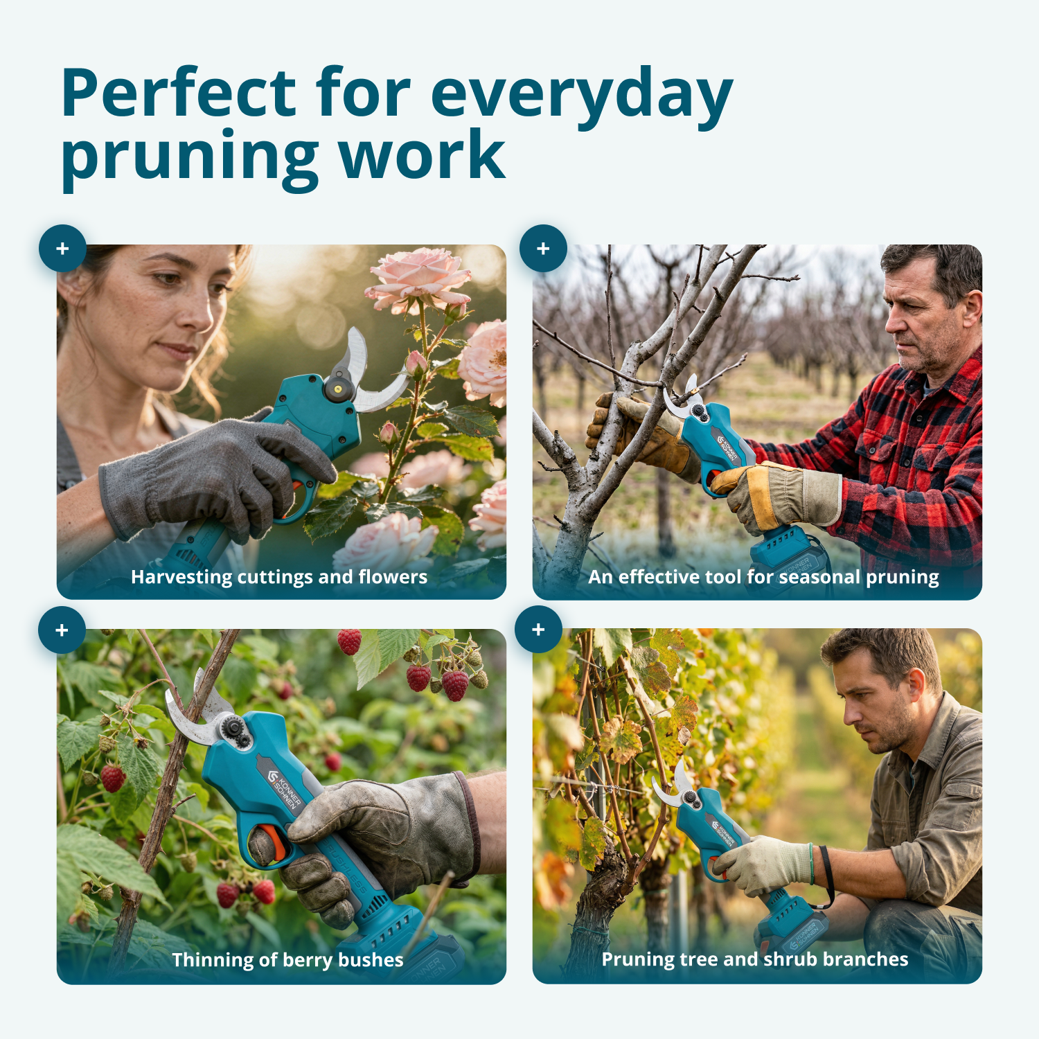 Promotional Pruning Kit KS MCS-CSP-SET