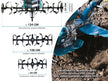 Бензиновий культиватор KS 9HP-1350G-3 (400) thumbnail